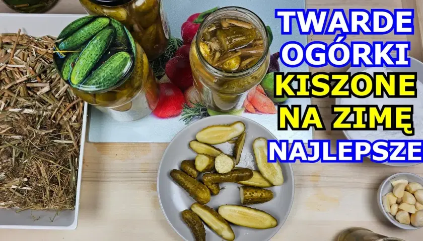 Jak zrobić ogórki kiszone żeby były twarde i chrupiące bez błędów